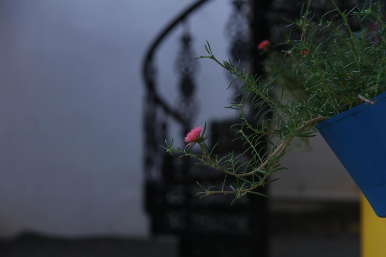 De Asian Villa Pondicherry 오로빌 외부 사진